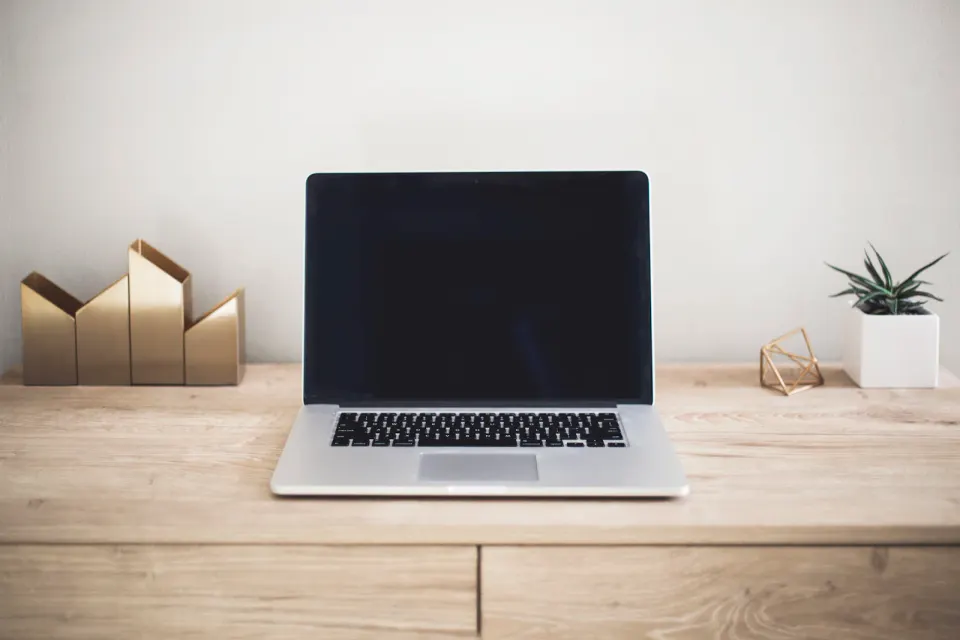 An open laptop on a light wooden desk beside small brass ornaments and a plant.